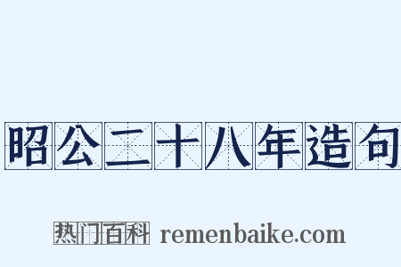 昭公二十八年造句是什么意思的图片